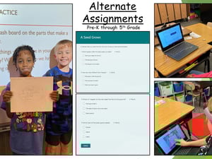 Alternate Assignments